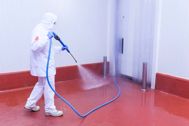 Reliable Rainbow, CA Pressure Washing Services Solutions